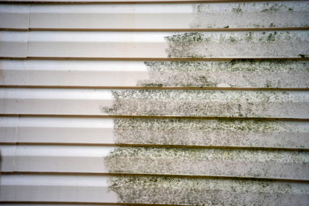 Best Attic Cleanout  in Lawton, IA